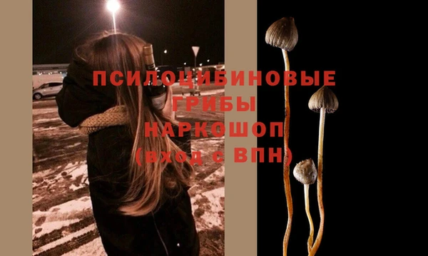 спайс Протвино