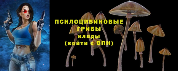 скорость Аркадак