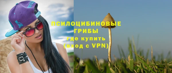 винт Арсеньев