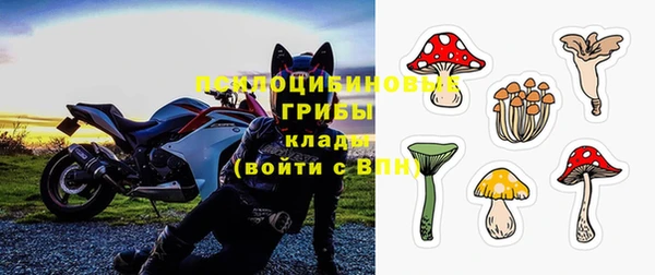 ПСИЛОЦИБИНОВЫЕ ГРИБЫ Козловка