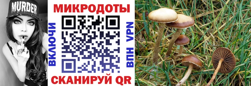Галлюциногенные грибы мухоморы  закладки  Асино 